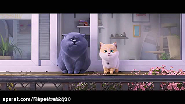 انیمیشن جدید گربه ها و پیچتوپیا 2020 دوبله فارسی زمان5234ثانیه
