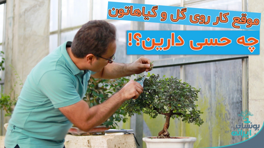 شما هم کار بر روی گیاهان یا هر...