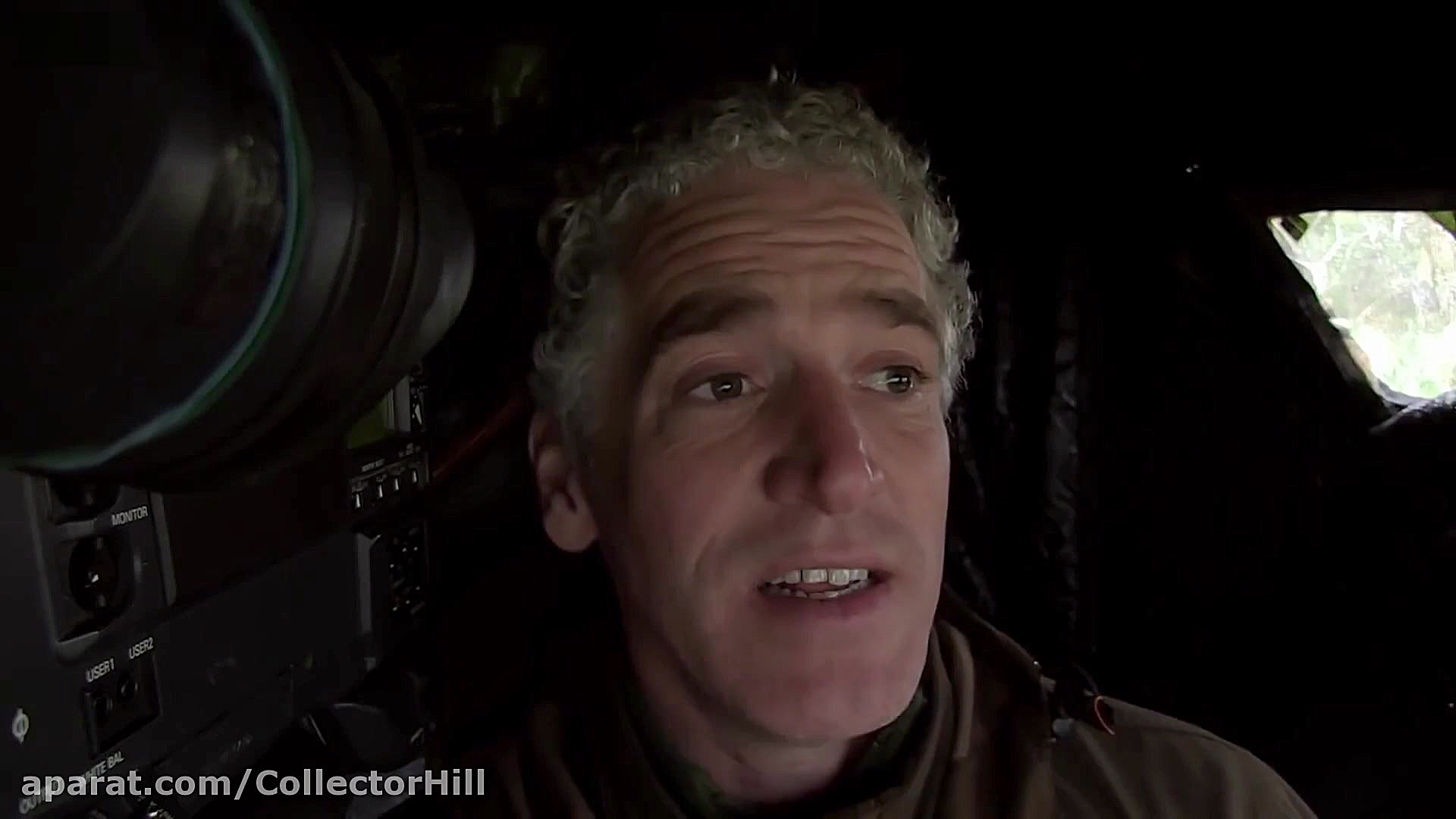 مستند حیات وحش زندگی گرگ ساحلی