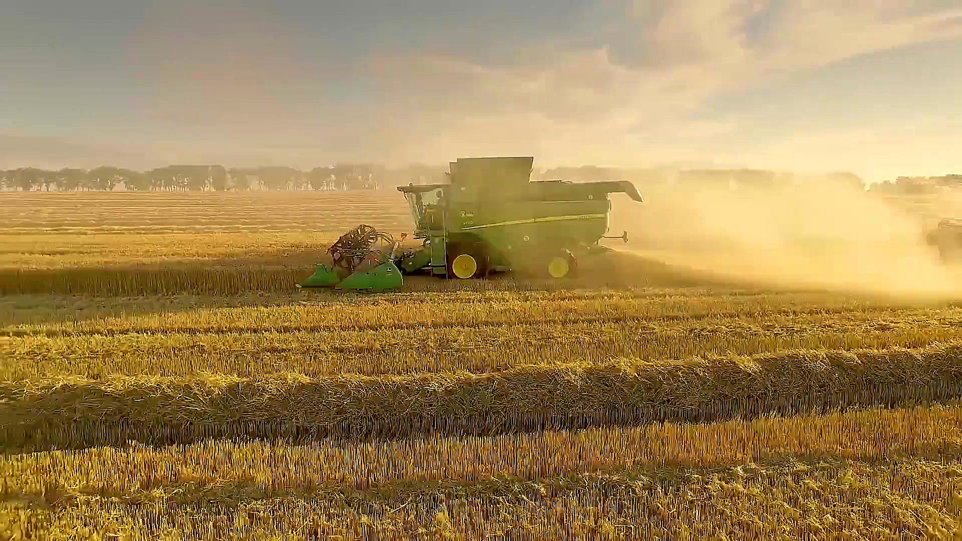 مالت ناب، دورهمی ناب