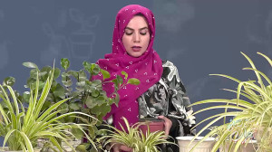 کارگاه مهارت نگهداری از گل و گ...