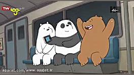 خرس های کله فندقی