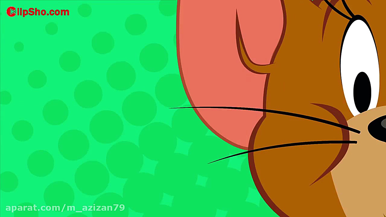 کارتون تام و جری ( موش و گربه...