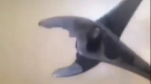 کلیپ طنز خنده دار جالب ..... آ...