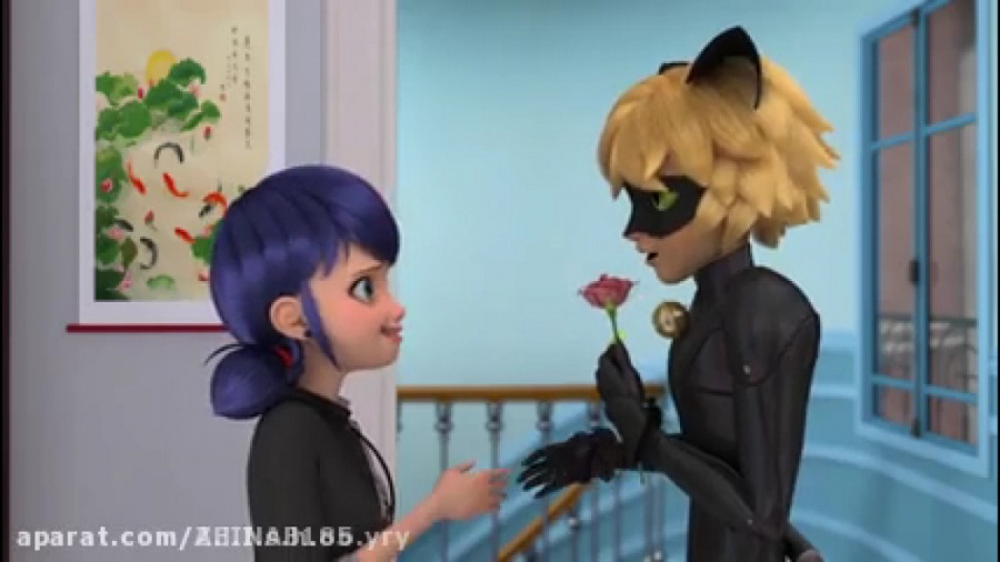 لیدی باگ  انیمیشن لیدی باگ