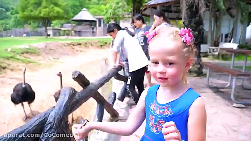 ناستیا استیسی :: آهنگ برای بچه...