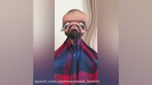 شوخی با ویروس کرونا ویدیو خنده...