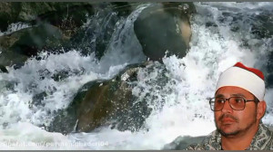 استاد مرحوم شحات محمد انور و م...