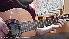 گیتاریست سارن