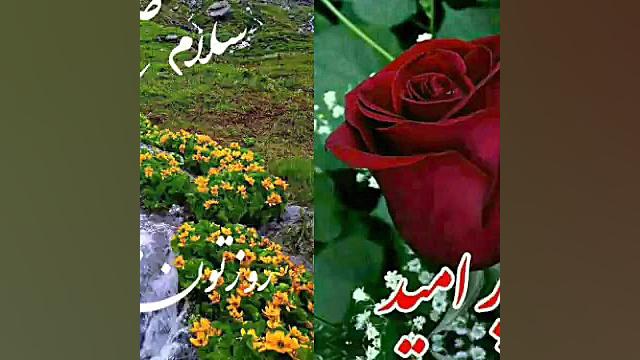 سلام صبح بخیر