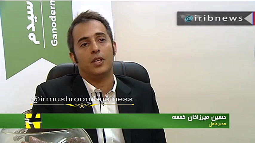 پرورش قارچ گانودرما