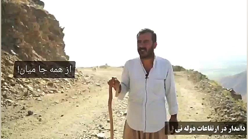 قاچاق دام در مرزهای پیرانشهر ز...