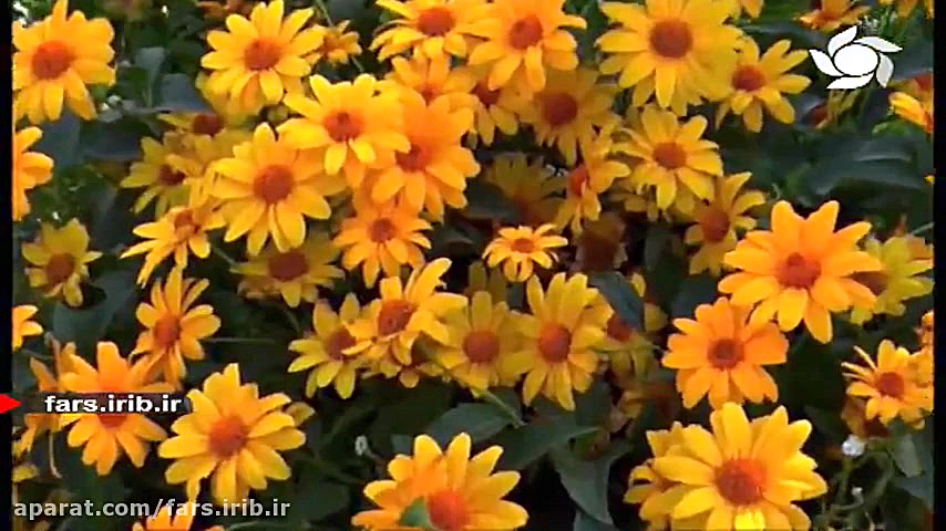 ترانه شاد &quot; خوش آمد گل &q...