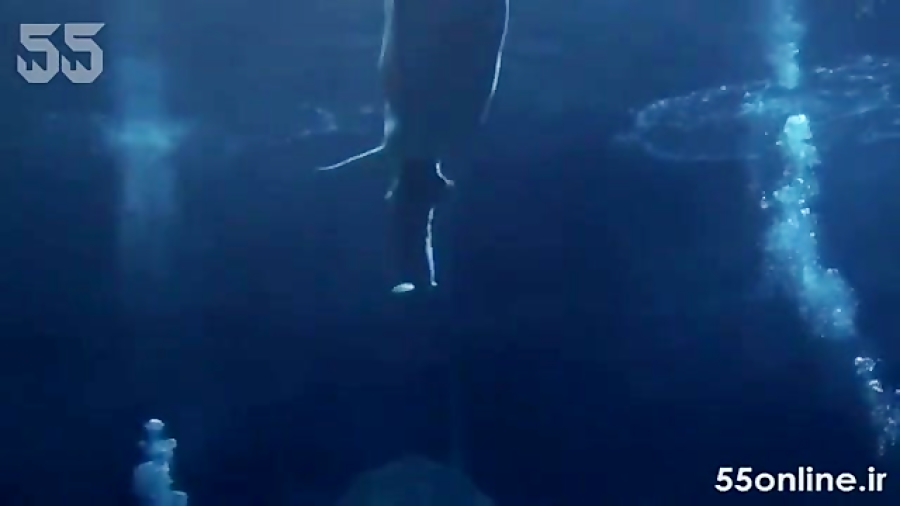 لحظه به دنیا آمدن نوزاد نهنگ س...