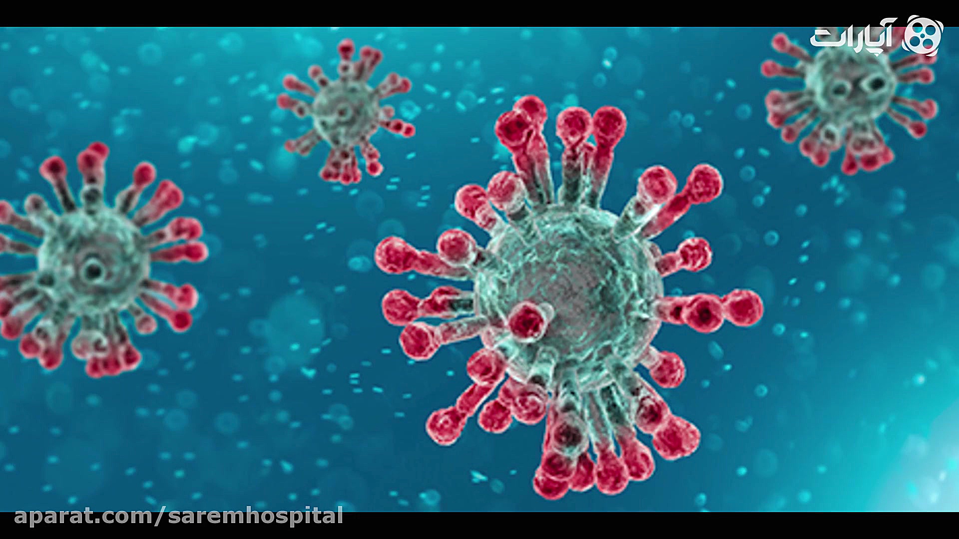 کرونا را چقدر می شناسید؟