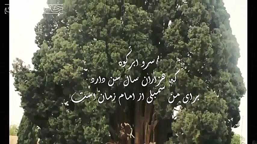 کلیپ کوتاه عاشقانه امام زمان ❤