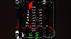 کلیپ محرمی .عشق میگوید حسین