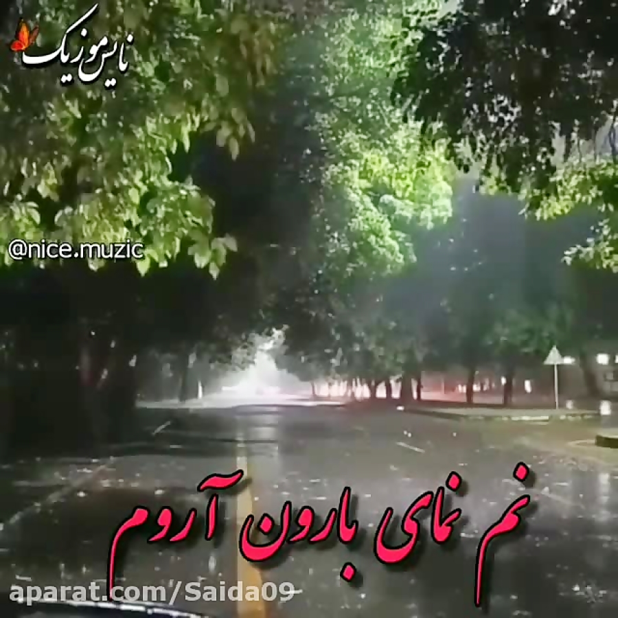 آهنگ شاخه گل من نیومد از کسری...