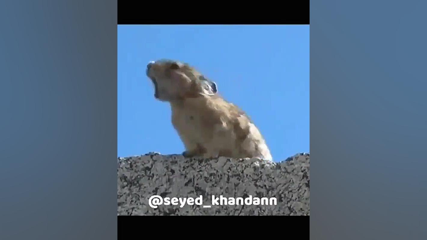 صدا گذاری خیلی خنده دار روی حی...