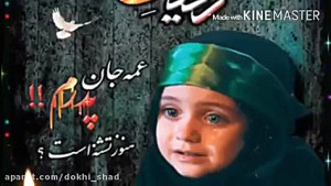 کلیپ مداحی  حضرت رقیه