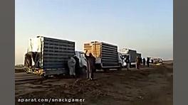 آزاد کردن هزاران پرنده (واقعا...