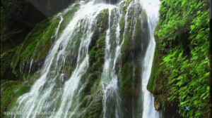 جاذبه های گردشگری ایران  شمال