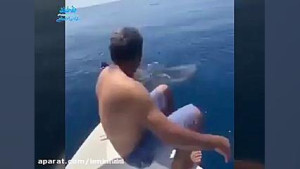 سواری نهنگ ندیده بودیم که دیدی...