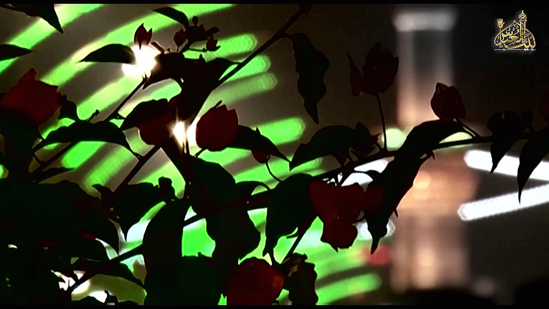 وای از دل تو ای رباب | حضرت عل...