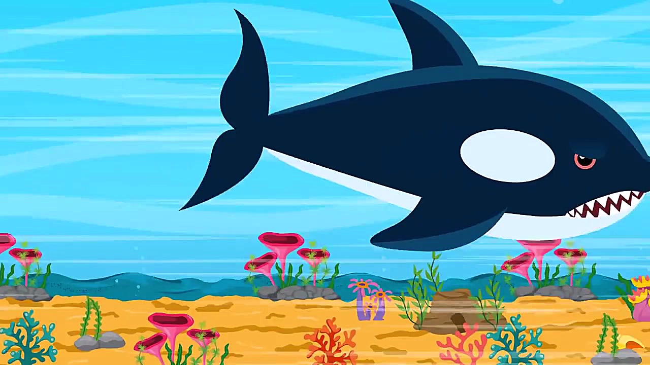 کارتون کوسه کوچولو  آموزش زبان...