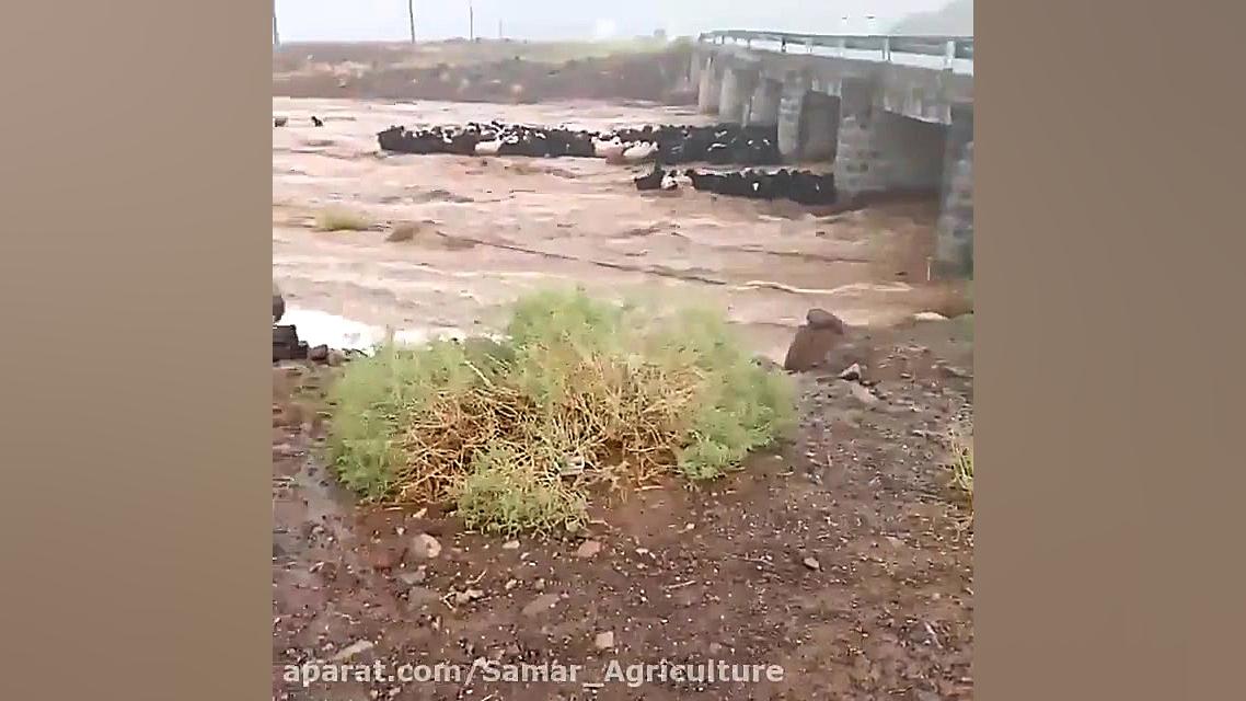 جاگیری اشتباه در زمان سیلاب