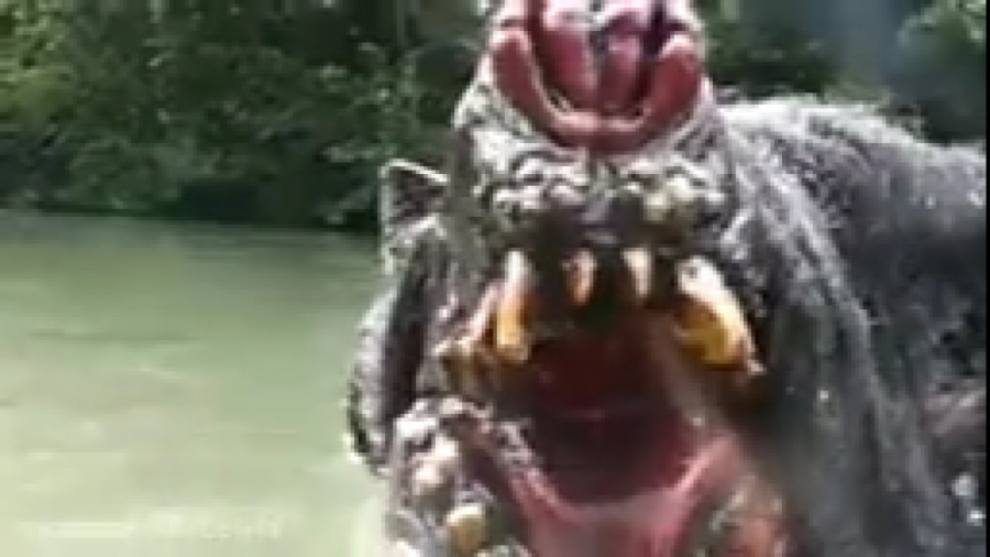 فیلم کوتاه ترسناک