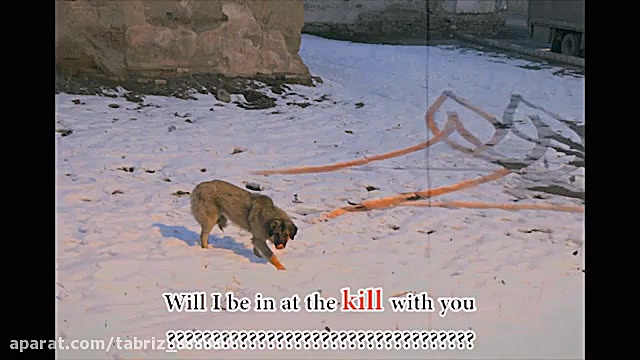 we are chaos ما درگیری و هرج و...