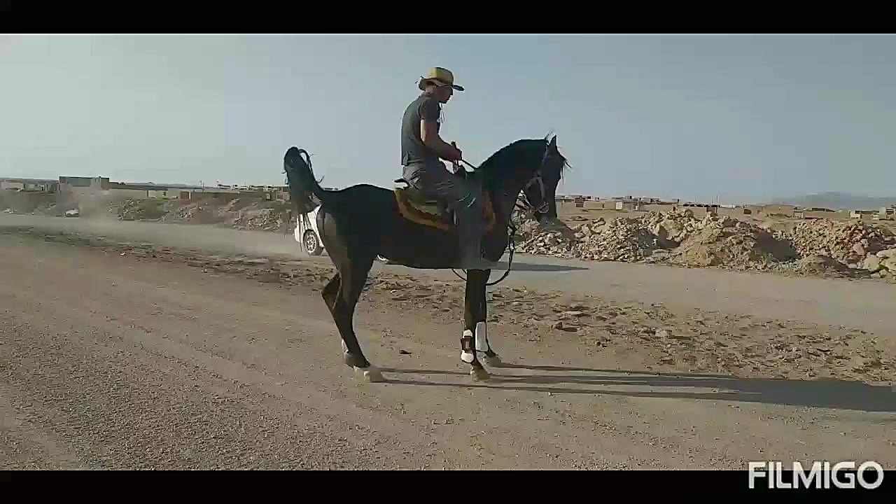 آرسس میبد  مالک : یاسر کشمیری...