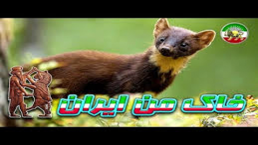 قاتلین بالفطره  چمنزار مستند ف...