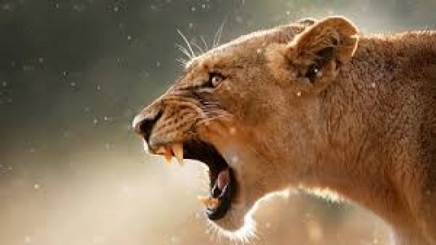 مستند فارسی قاتلین بالفطره در...