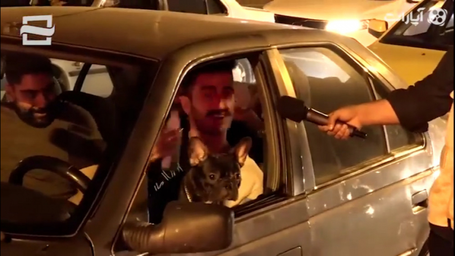 ساعت دو شب با سگ در راه شمال ب...