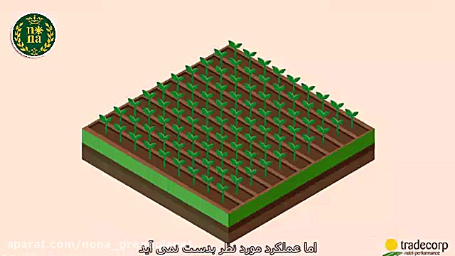 اهمیت عناصر ریزمغذی در تغذیه گ...