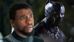 چادویک بوزمن  پلنگ سیاه