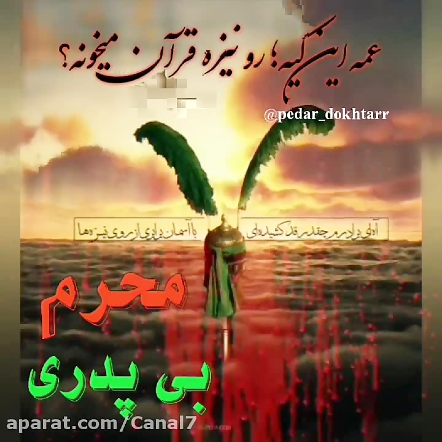 کلیپ تسلت شام غریبان امام حسین...