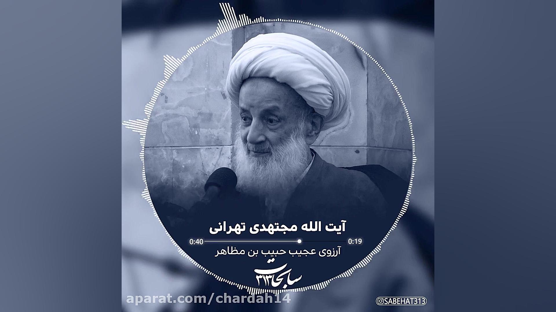 آرزوی عجیب حبیب بن مظاهر