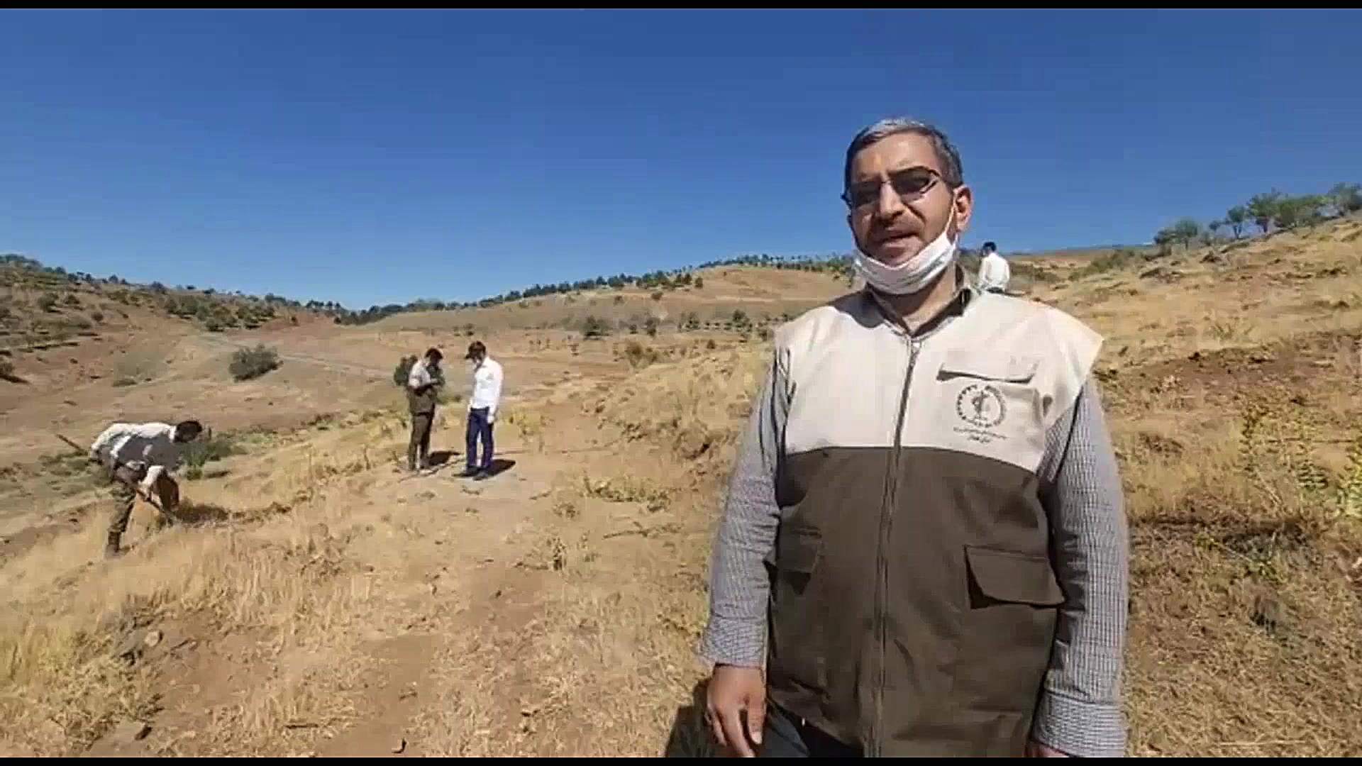 جوان‌ها در کنار نهال‌ها