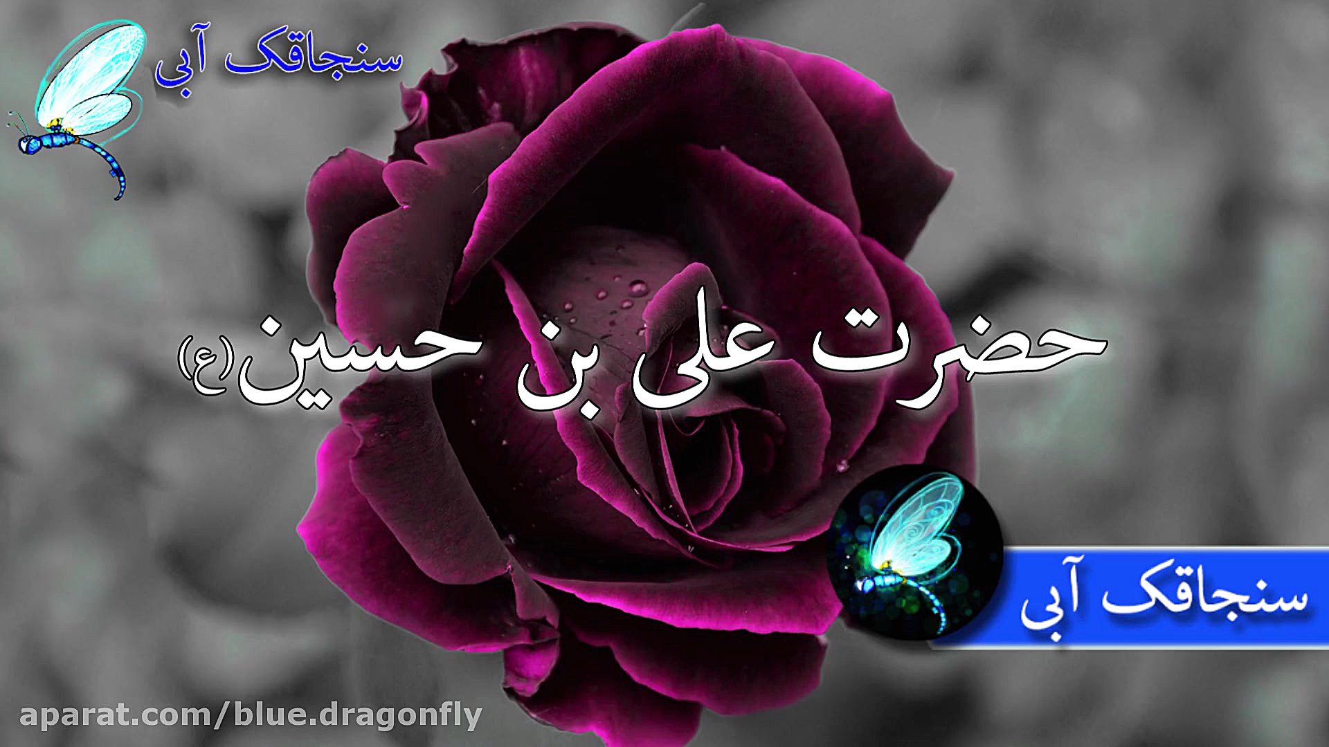 کلیپ تسلیت شهادت امام سجاد وفا...