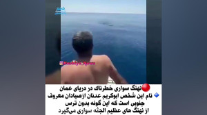 نهنگ سواری در دریای عمان