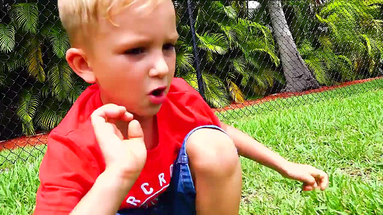 داستان های ولاد و نیکی Vlad an...