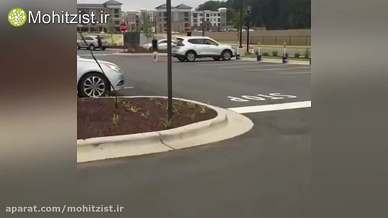 سگی که غذای صاحبش را از دلیوری...