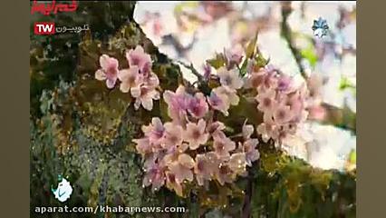 انرژی مثبت مخصوص امروز