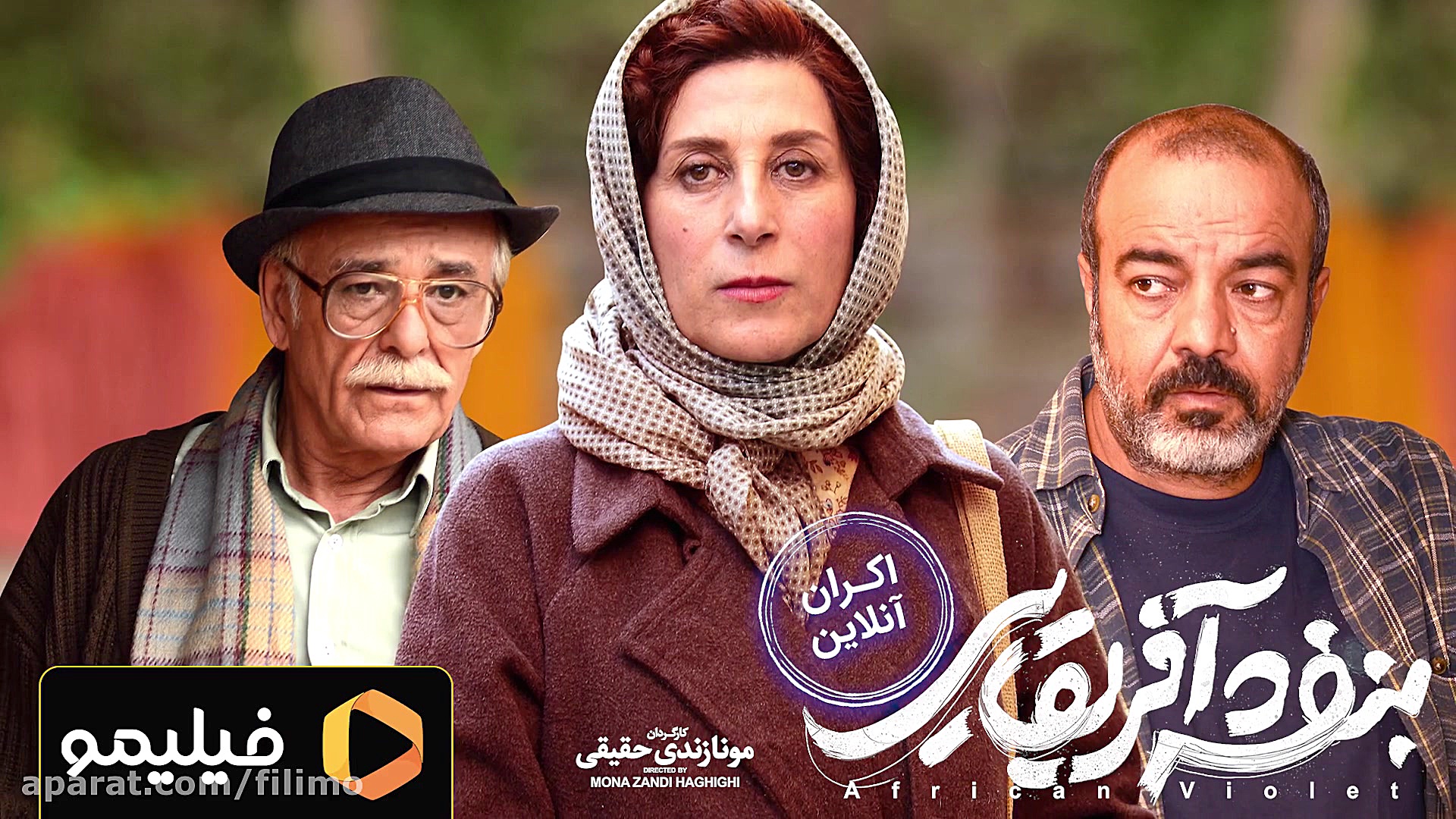 بنفشه آفریقایی