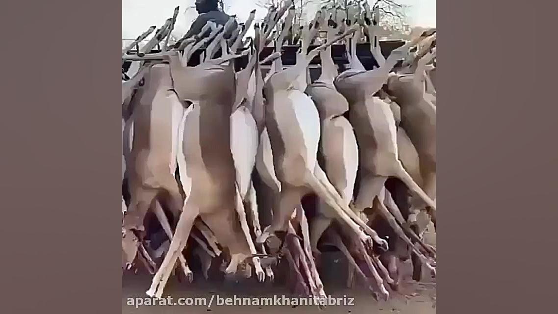 عربستان سعودی