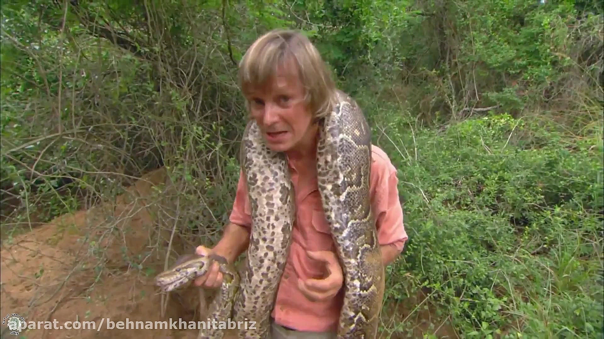 مستند دوبله انسان و حیوانات (م...