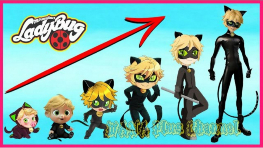 مراحل رشد لیدی باگ و کت نوار